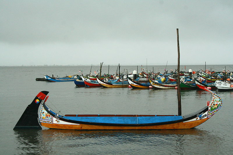 in Wikipidea - Barco Moliceiro - talvez o mais típico símbolo da ria de Aveiro que abarca a região de origem do autor.
